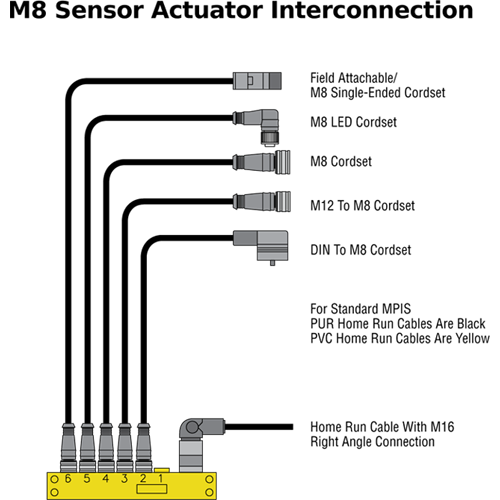 M8Schema50