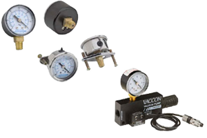 Gauge fam 30