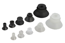 Deep Cups Family 22